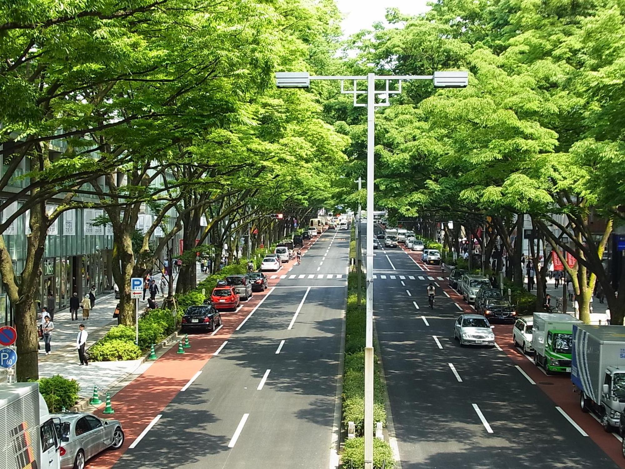 Allamanda Aoyama Hotel 5*