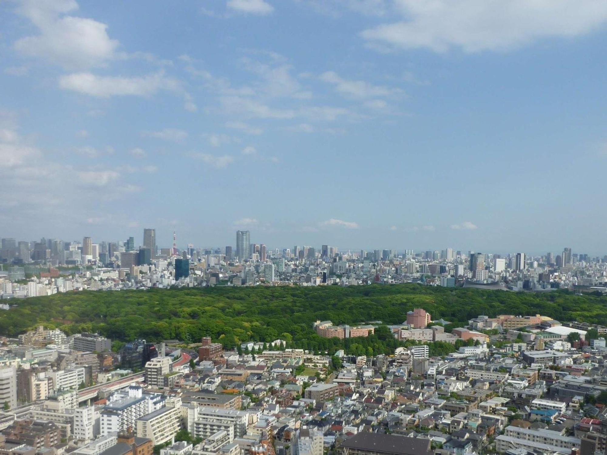 Hotel Allamanda Aoyama